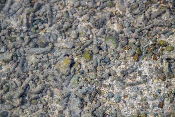 istock Rocks in the sand 1414574410