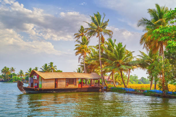 istock Houseboat in Kerala Backwaters, India 1414574416