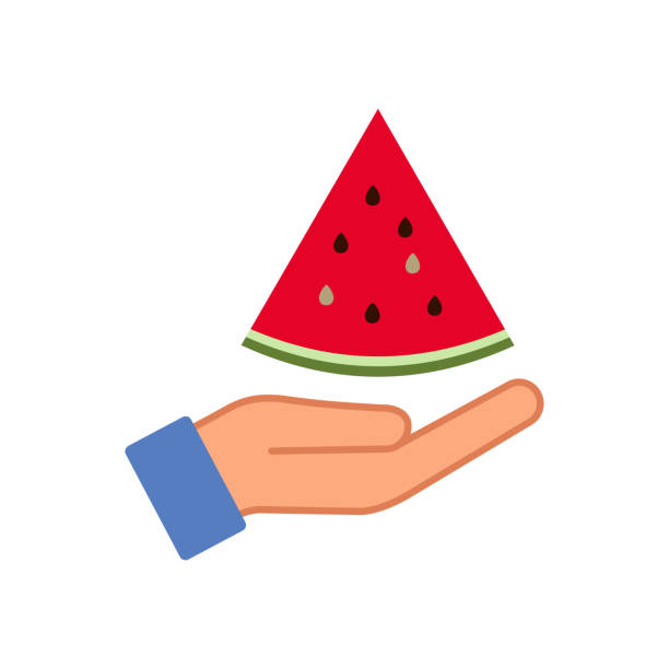 ilustrações de stock, clip art, desenhos animados e ícones de open palm and slice of watermelon icon. hand and fruit symbol. sign offer food vector. - stretch beach