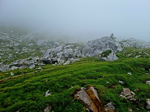 Misty mountain range in the swiss Alps. The image shows some large limestone rocks and alpine meadows in the fog, captured during summer season.