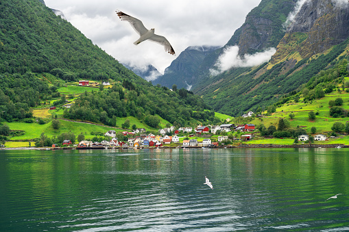 Norwegian rural houses fjord sea landscape view, Norway, Sognefjord sea mountain landscape.