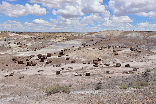 Scenic view of Petrified Forest National Park in Arizona, EEUU.