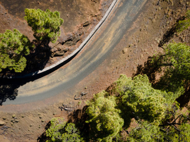 istock Drone flight over the beautiful lush green pine forest on El Hierro 1414584047