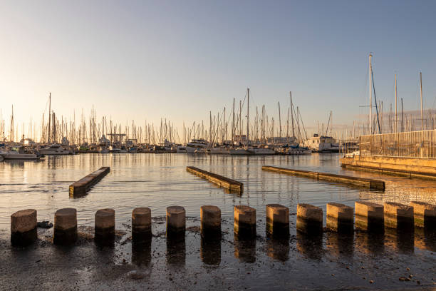 porto de palma de maiorca - majorca yacht marina palma - fotografias e filmes do acervo