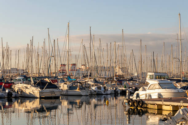 porto de palma de maiorca - majorca yacht marina palma - fotografias e filmes do acervo