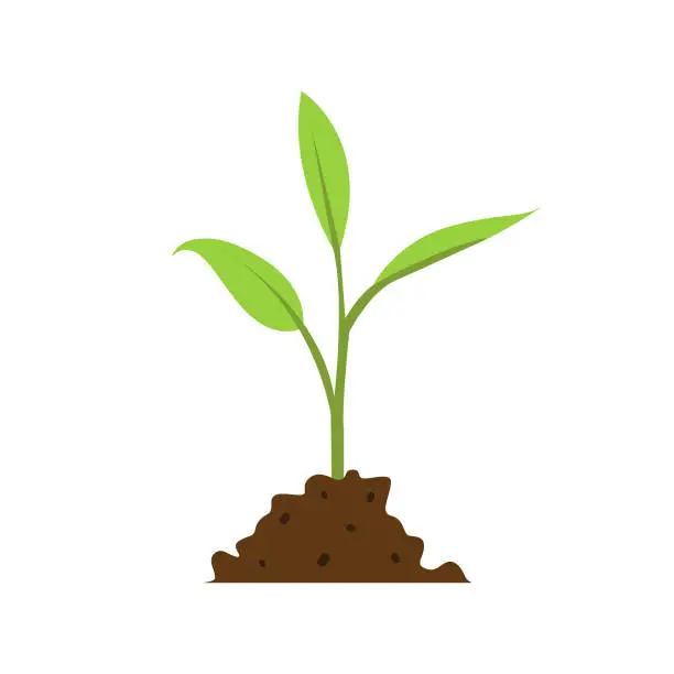 Vector illustration of Growth Icon. Sprout, Ecology Concept Flat Design on White Background.
