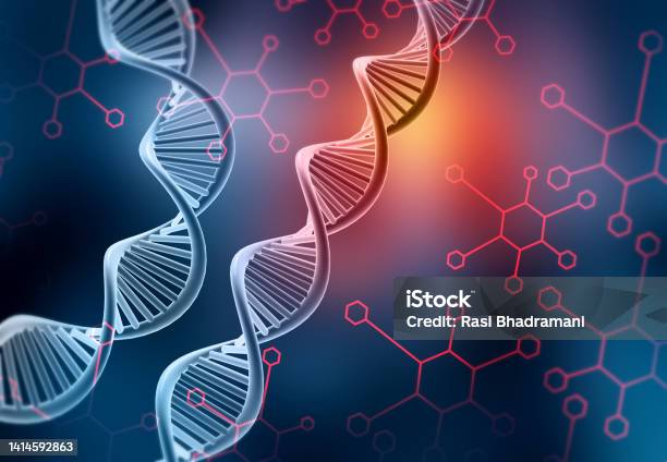 Dna Amazing Structure Dna Structure Dna Strands Molecular Structure Stock Photo - Download ...
