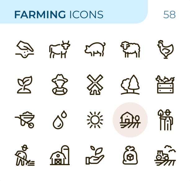Farming - Pixel Perfect Unicolor line icons Farming icons set # 58

Specification: 20 icons, 36x36 pх, perfect fit to 48x48 or 64x64 container, stroke weight 2 px.

Features: Pixel Perfect, One color, Single line.

First row of  icons contains:
Human Hand Seeding, Cow, Pig, Sheep, Chicken;

Second row contains: 
Plant, Farmer, Windmill, Forest, Vegetables in Crate;

Third row contains: 
Wheelbarrow, Water, Sun, Agricultural Field, Farm Worker; 

Fourth row contains: 
Raking, Farm and Agricultural Barn, Leaf in human hand, Sugar Bag, Tractor.

Complete Sunico collection - https://www.istockphoto.com/collaboration/boards/VZPMQQNTvUG4HwsmIjQzxA domestic animals stock illustrations