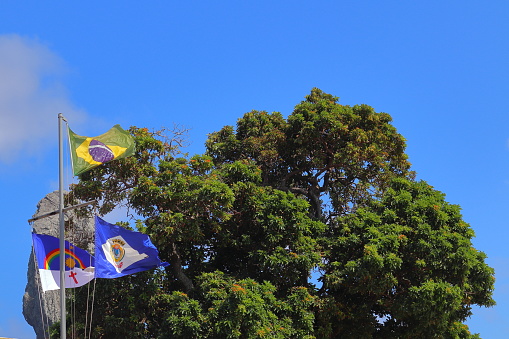 Pernambuco, Brazil and Fernando de Noronha waving flags against tree background, during a sunny August day.