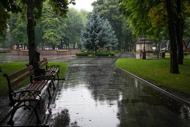 istock Empty city park with benches on a rainy day 1414597990