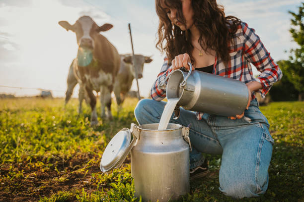 istock Young woman pouring raw milk into container while crouching in field 1414600287