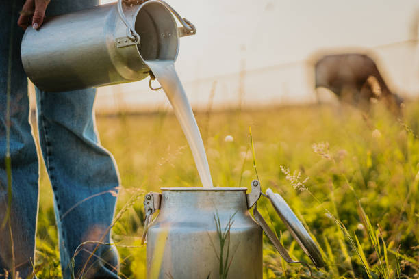 Vintage aluminum milk can standing outdoors against a rustic fence and green foliage, capturing a nostalgic rural scene and a sense of simpler times