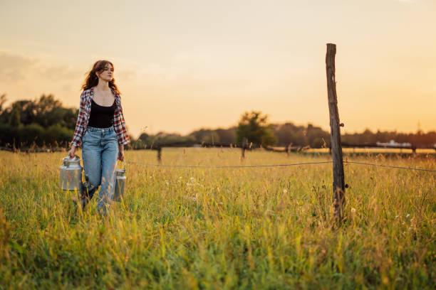 Beautiful young female farmer carrying milk canisters while walking in green grassy rural field