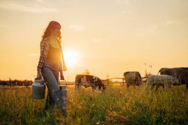 istock Young woman holding milk canisters while walking in field 1414600471