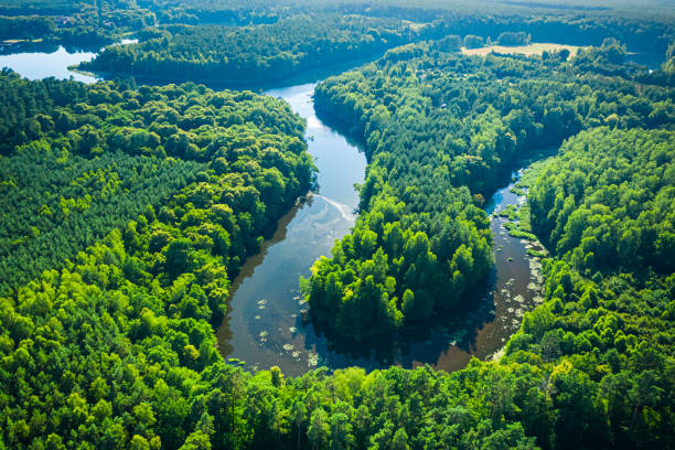 River and forests in summer. Aerial view of wildlife, Poland River and forests in summer. Aerial view of wildlife in Poland, Europe bory tucholskie stock pictures, royalty-free photos & images