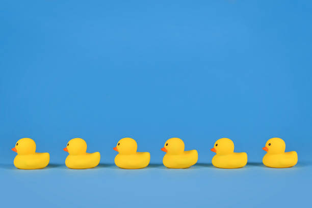 Yellow rubber ducks in a row Yellow rubber ducks in a row on blue background with copy space duck stock pictures, royalty-free photos & images