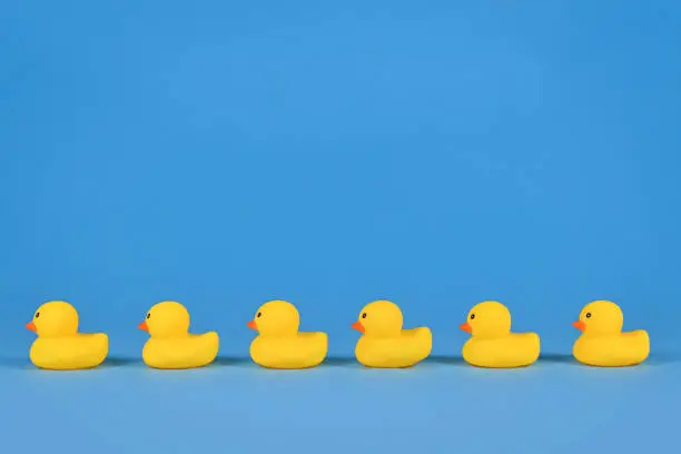 Photo of Yellow rubber ducks in a row