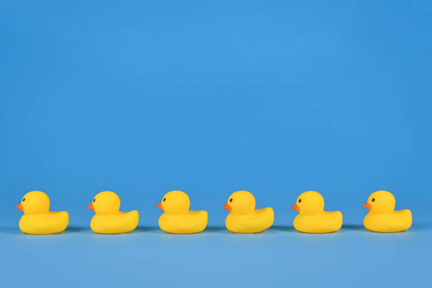 yellow rubber ducks in a row - 鴨子 個照片及圖片檔