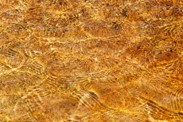 istock Circles on the brown water 1414603928