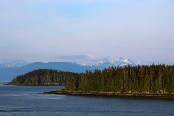 istock Alaska, small tree-covered island in Stephens Passage, United States 1414605815