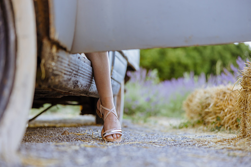 Low section of woman wearing sandals getting out from the car against lavender field