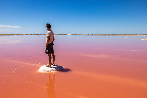 Man looking at beautiful pink salt lake while standing on rock formation against sky during sunny day