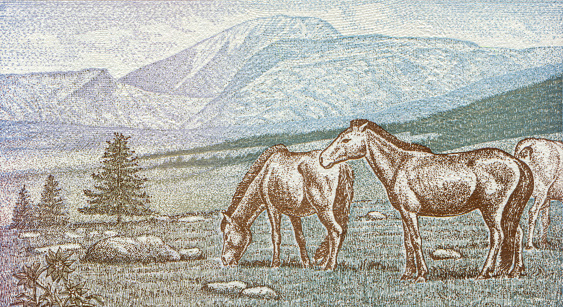 Horses on the Steppe Pattern Design on Mongolian Banknote