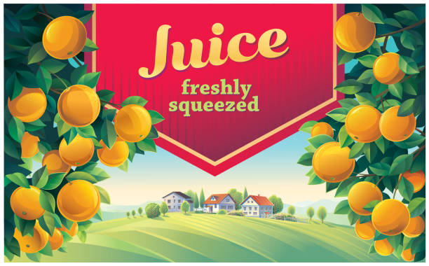 ラベルは、前景にオレンジの木の枝とデザイン要素、背景に村があります。 - packaging horizontal non alcoholic beverage orange juice点のイラスト素材／クリップアート素材／マンガ素材／アイコン素材