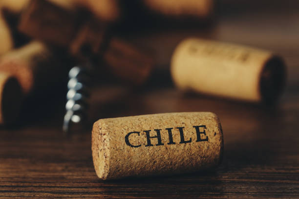 el concepto de vino chileno y la vinificación. un corcho de vino con el nombre del país "chile" en primer plano y un sacacorchos con otros corchos de vino fuera de foco. - vinos chilenos fotografías e imágenes de stock