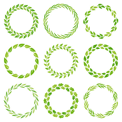 Set of circle frames with leaves. Vector floral wreaths.