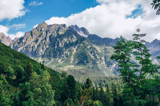 istock Beautiful summer landscape - mountains 1414614071