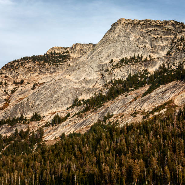 istock Yosemite national park 1414614244