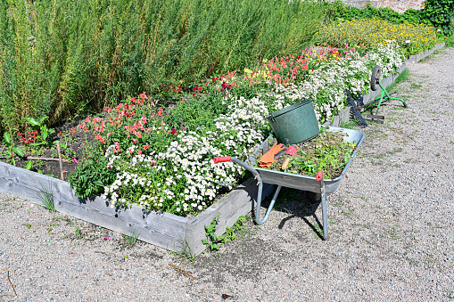 Public garden with lots of flowers and a wheel barrow Orebro Sweden august 4 2022
