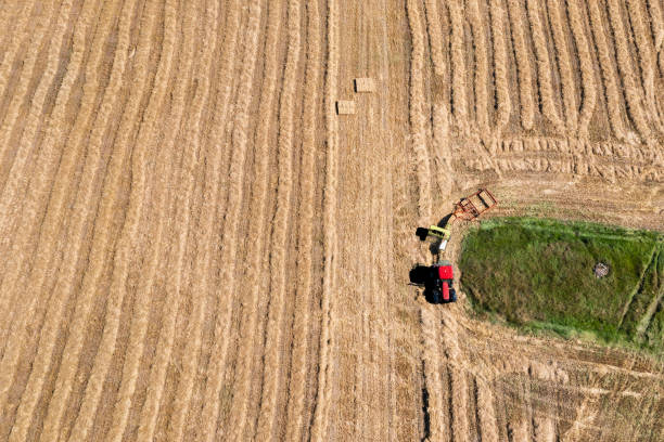 istock Drone view of bailing cut straw after harvesting 1414616002