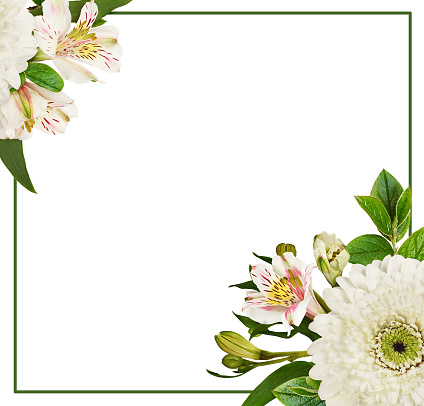 White flowers of gerbera and alstroemeria with green decorative leaves in a floral corner arrangements and a green frame isolated on white background