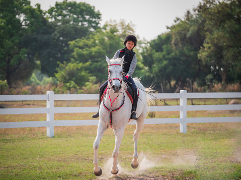 Portrait of Young Asian girl enjoy riding horse in the farm, Girl horseback riding training at the ranch, she riding a white coloured Arabian horse in thailand