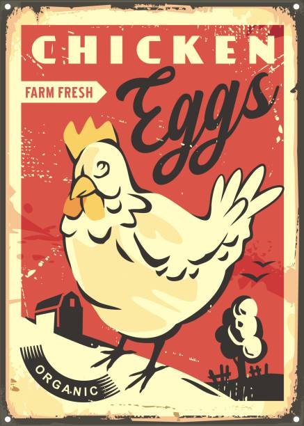 농장 신선한 닭고기 달걀 복고풍 포스터 - rust rustic backgrounds metal stock illustrations
