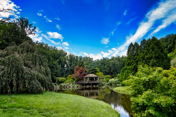 istock Lake and meadow in a rural park 1414626060