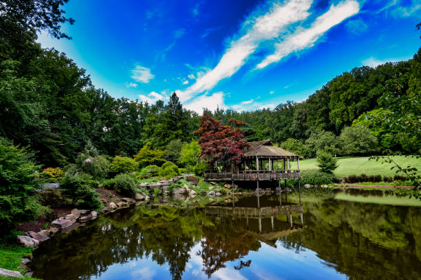istock Lake and meadow in a rural park 1414626076