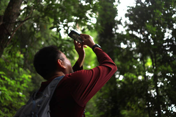 istock Asian man hiker take a picture using smartphone in a rainforest 1414628803