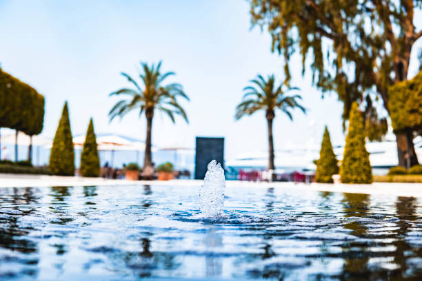 Picture of a Fountain in a city by the sea. Palm trees