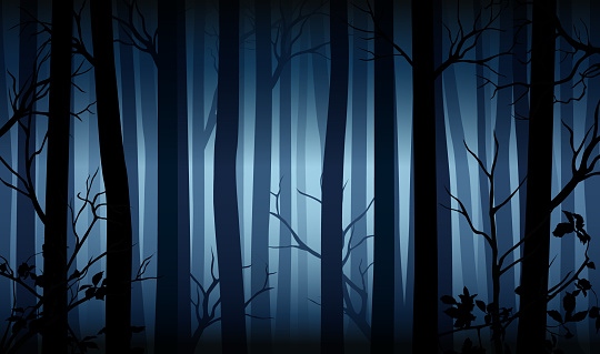 Vector blue mysterious dark forest landscape with silhouettes of trees and branches