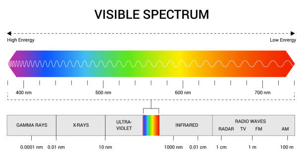 długość fali widma. zakres kolorów widma widzialnego. edukacyjna linia świetlna fizyki. częstotliwość fali świetlnej. długości fal widzialnej części widma dla ludzkich oczu - high frequencies obrazy stock illustrations