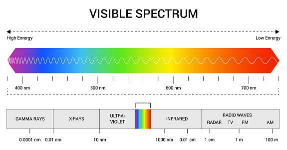 Spectrum wavelength. Visible spectrum color range. Educational physics light line. Light wave frequency. Wavelengths of the visible part of the spectrum for human eyes.