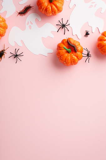 Halloween decorations concept. Top view vertical photo of ghost silhouettes pumpkins insects spiders cockroach and centipedes on isolated pastel pink background with copyspace