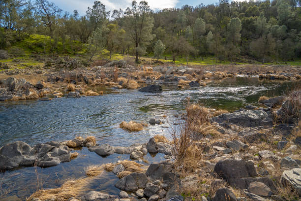 Cosumnes River flowing through the California foothills stock photo