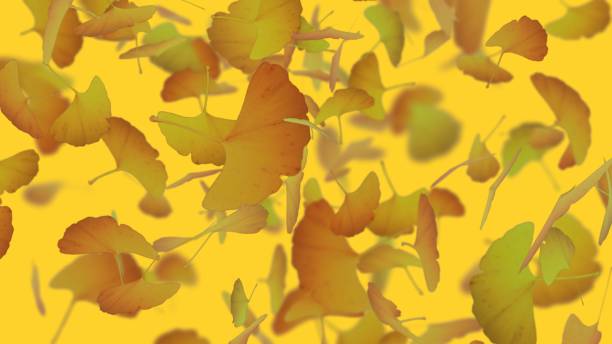 ilustraciones, imágenes clip art, dibujos animados e iconos de stock de ilustración de fondo de hojas caídas de ginkgo volando - loneliness backgrounds beauty beauty in nature
