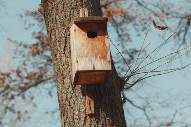 istock handcrafted bird houses 1414644196