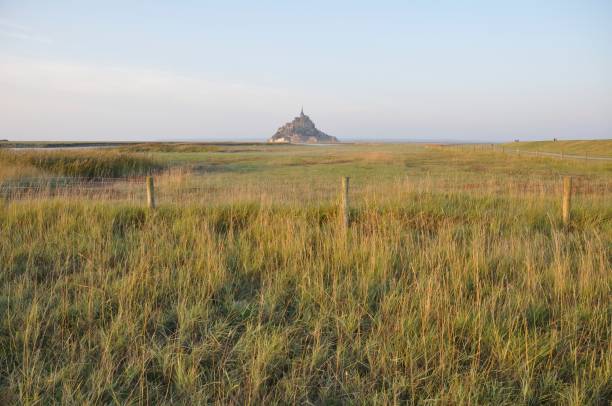 istock Mont Saint Michel and salt marshes 1414645222