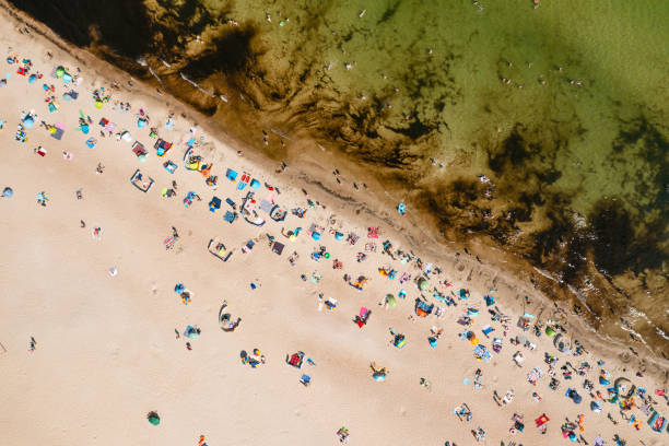 istock Baltic coast, people having bath in the sea during hot summertime weekend, directly above perspective 1414647876